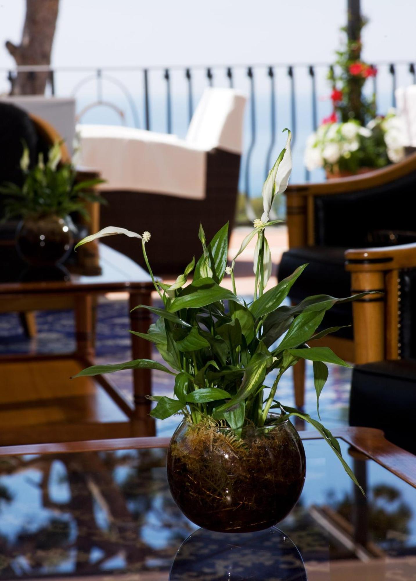 Casa Morgano Hotel Capri Ngoại thất bức ảnh